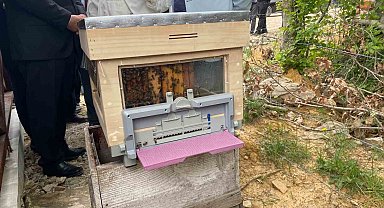Sinop'ta Türkiye'nin 913'üncü bal ormanı hizmete açıldı
