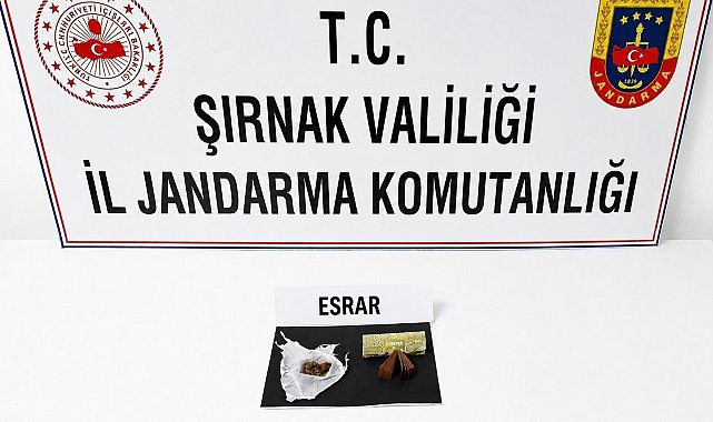 Şırnak'ta jandarma son 1 haftada 104 şüpheli hakkında işlem yaptı