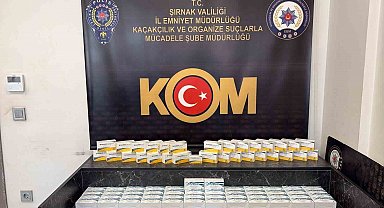 Şırnak'ta kaçak ilaç ve serum operasyonu: 2,5 milyon liralık tıbbi ürün ele geçirildi
