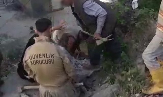 Şırnak'ta kadına şiddet iddiası: 2 gözaltı
