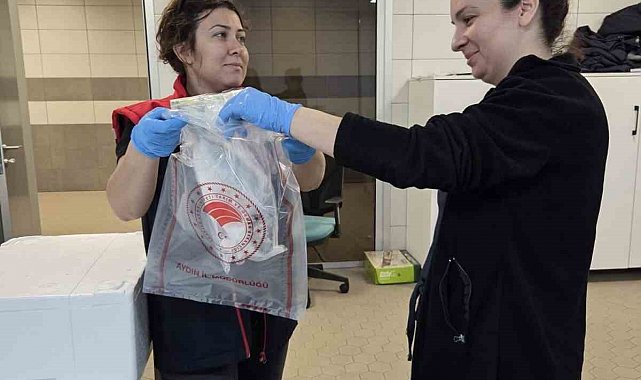 Söke'de ihraç edilecek su ürünlerine sıkı denetim