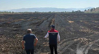 Söke'de yangından zarar gören tarım arazileri incelendi