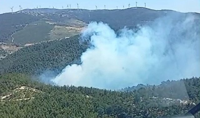 Soma'daki orman yangınına havadan ve karadan müdahale başladı