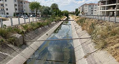 Sulama kanalı için muhtardan "yeşil alan" talebi