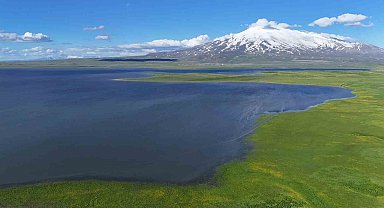 Süphan Dağı'nın eteklerindeki saklı cennet: Cil Gölü mest ediyor