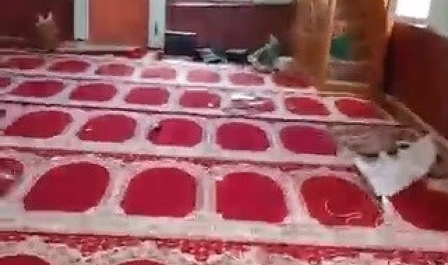Tahrip edilen köy camisi belediye ekiplerince yeniden ibadete hazır hale getirildi