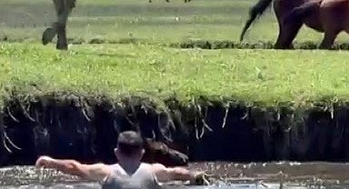 Tayı kurtarmak için suya atladı, o anlar kamerada