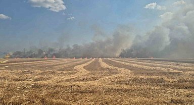 Tekirdağ'da 2 farklı noktada çıkan yangın söndürüldü: 700 dönümlük alan ve 20 konteyner kül oldu