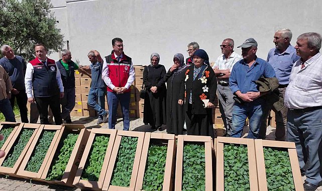 Tekirdağ'da 407 üreticiye 256 bin yazlık sebze fidesi dağıtıldı