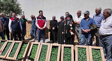 Tekirdağ'da 407 üreticiye 256 bin yazlık sebze fidesi dağıtıldı