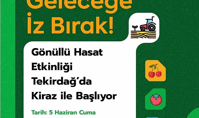 Tekirdağ'da gönüllü hasat etkinliği kirazla başlıyor