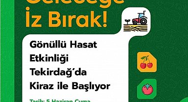 Tekirdağ'da gönüllü hasat etkinliği kirazla başlıyor