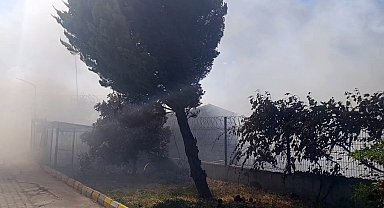 Tekirdağ'da tarım arazisinde başlayan yangın: Alevler 4 farklı noktaya sıçradı