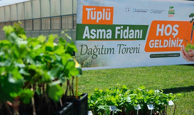 TOGÜ'den üreticiye bağcılık desteği