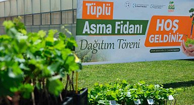 TOGÜ'den üreticiye bağcılık desteği
