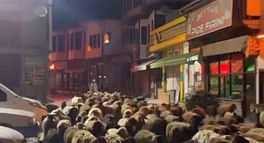 Tokat'ta yayla göçünde yüzlerce koyun şehir merkezinden geçti