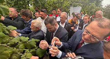 Trabzon'da kahverengi kokarcaya karşı doğal ordu göreve başladı