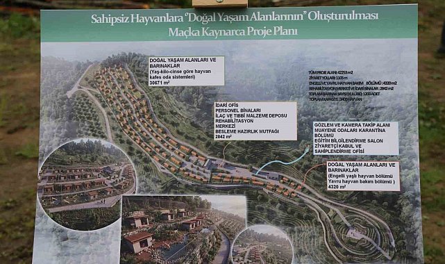 Trabzon'da sokak köpeklerine ev sahipliği yapacak yeni bir barınak inşa edilecek