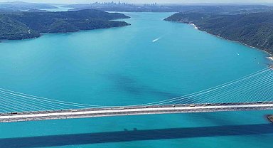 Turkuaza dönen İstanbul boğazında yunuslar akın etti