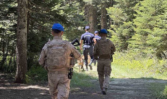 Uludağ'ın zümrüt yeşili ormanları Jandarma'ya emanet