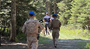Uludağ'ın zümrüt yeşili ormanları Jandarma'ya emanet