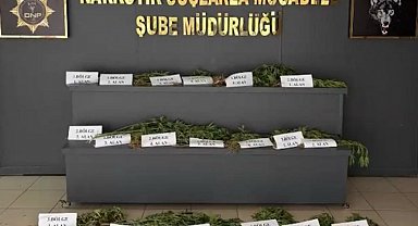 UNESCO Dünya Mirası Listesi'ndeki Hevsel Bahçeleri'nde uyuşturucu ele geçirildi