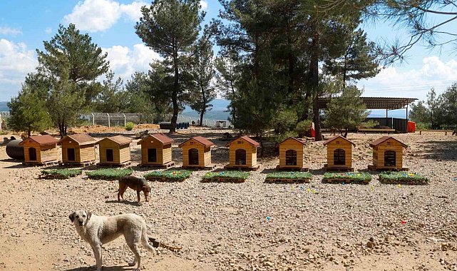 Uşak Belediyesi Başkan Vekili Özkan'dan hayvan bakımevine ziyaret