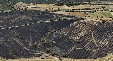 Uşak'ta çıkan yangında 300 dekar ekili alan zarar gördü