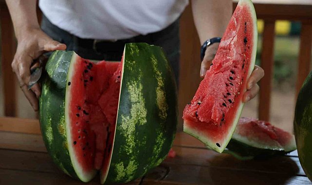 Uzmanından iyi karpuz 'Nasıl seçilir' tavsiyesi: "Karpuza vurmak eskide kaldı"
