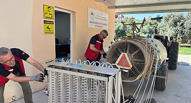 Üzümde kalıntı riskine karşı sıkı denetim