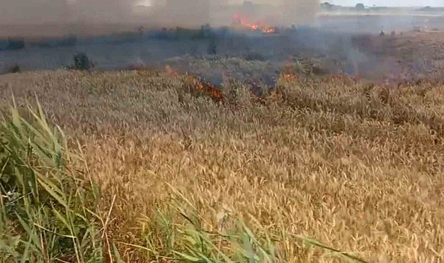 Uzunköprü'de buğday tarlasında yangın: 6 dönüm alan zarar gördü