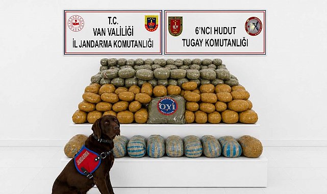 Van'da 291 kilogram toz esrar ele geçirildi