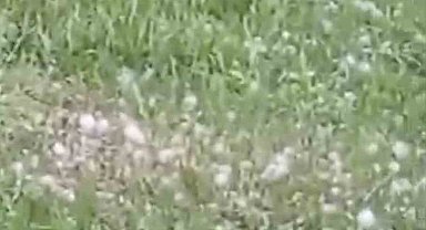 Van'da ceviz büyüklüğünde dolu yağışı