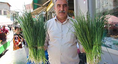 Van'da karların geç erimesi şifalı otların tezgah ömrünü uzattı