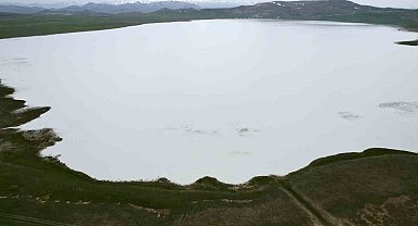 Van'ın kuş cenneti Akgöl misafirlerini bekliyor