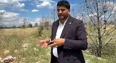 Vatandaşlardan ormanlık alana arazi yolu talebi