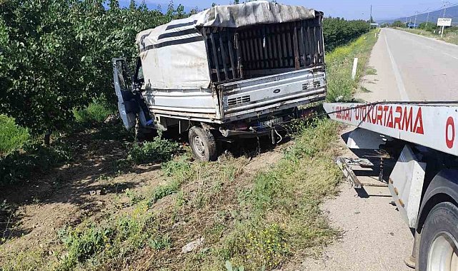 Yalvaç yolunda hayvan nakil kamyoneti kayısı bahçesine daldı: 1 yaralı