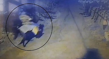 Yaşlı çifti öldürdükten sonra atla kaçan sanığa iki kere ağırlaştırılmış müebbet