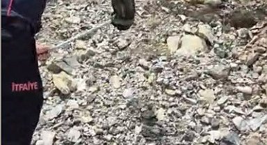 Yatak ve halıların arasına saklanan yılanı itfaiye buldu