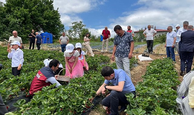 Yayla çileği aromasıyla öne çıkıyor