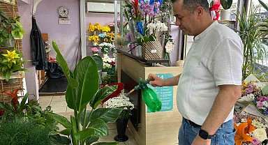 Yaz aylarında çiçek bakımında bunlara dikkat