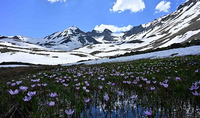 Yaz ortasında kışın hüküm sürdüğü eşsiz coğrafya: Artabel