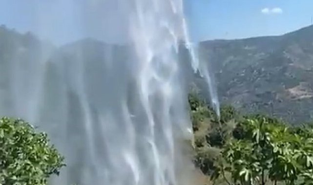 Yemek ısıtmak için yaktığı ateş incir bahçesini kül etti