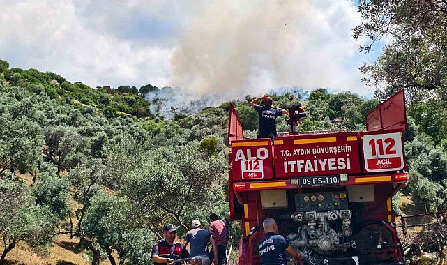 Yenipazar'daki makilik yangını kontrol altına alındı