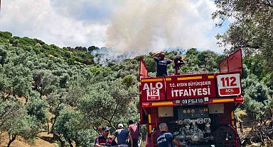 Yenipazar'daki makilik yangını kontrol altına alındı