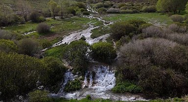Yılda sadece bir ay akıyor: Ağ Nene'nin gizemli suyu yeniden uyandı
