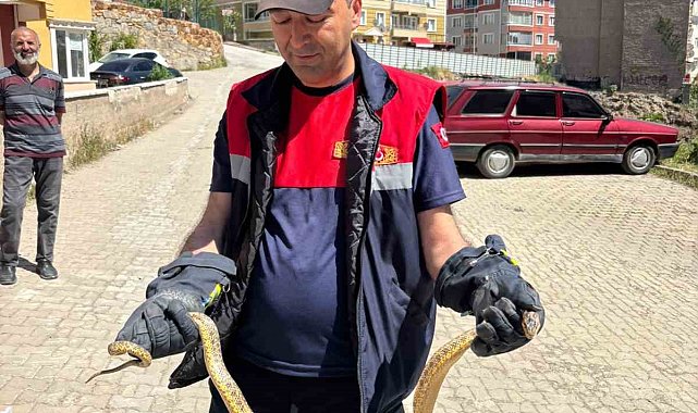 Yozgat'ta otomobile giren yılanı itfaiye ekipleri çıkardı