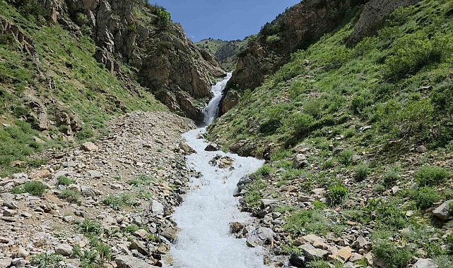 20 yıl sonra yeniden hayat buldu: Çatak'ta kuruyan su kaynağı akmaya başladı