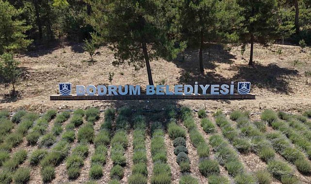 2026 Yılı Gençlik Tarım Kamplarının ilki başladı