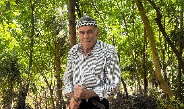 31 yılda 25 bin ağaç dikerek, kurak araziyi oksijen sahası yaptı